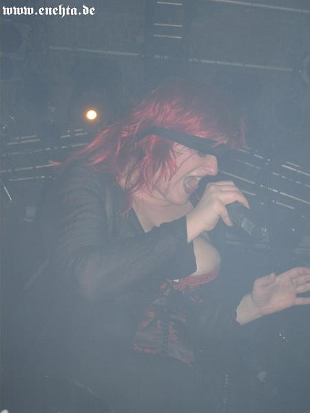 Lame Immotrelle vom 20.02.2008-013.jpg